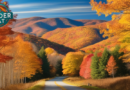 Fall Foliage in Vermont