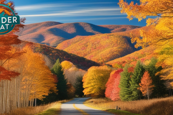 Fall Foliage in Vermont